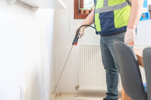 Trusted Incline Village, NV Pest Control Experts
