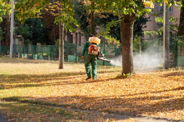 Pest Control Cost in Incline Village, NV