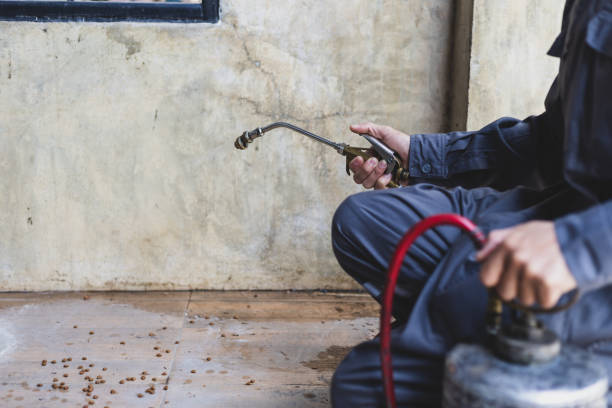 Best Wasp Removal Services  in Incline Village, NV